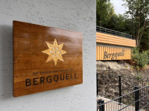 Haus Bergquell App 2